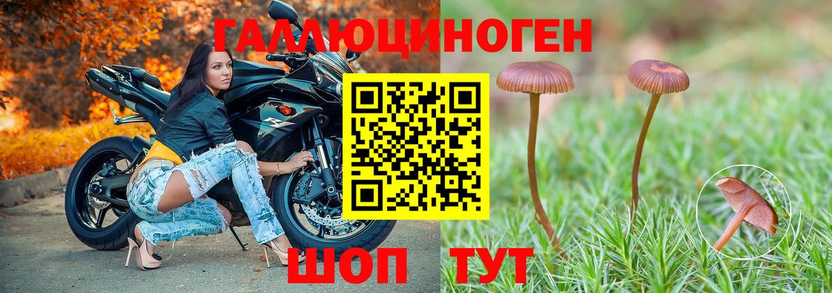 Обнинск  дарнет шоп  Вход с VPN  Псилоцибиновые грибы Psilocybe 